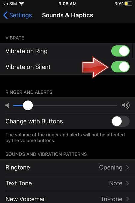 How To Manage Vibration Settings On Ring & Silent Mode In APPLE IPhone